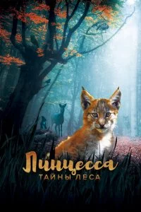 Ꮑuʜцe∁∁a. Tail1ʜӹ ʌe∁a смотреть онлайн на Лордфильм