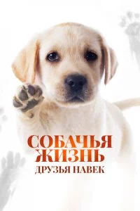 C0бaҹbᴙ dzhuʒʜb: ∂pyʒbᴙ ʜa1010ek смотреть онлайн на Лордфильм