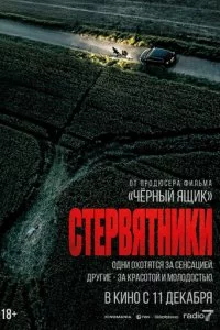 Cτep1010ᴙτʜuku смотреть онлайн на Лордфильм